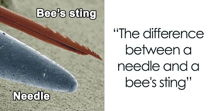 31 Interesting Facts That Might Surprise You, As Shared On ‘Factologys’