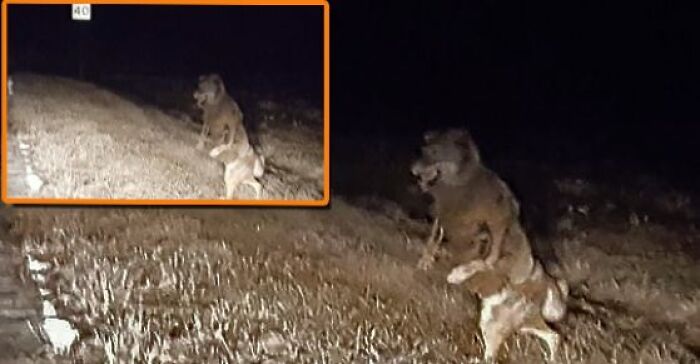 Fascinating-Science-Art-History-Posts