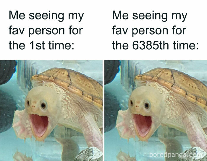 Dating-Around-As-Introvert-Memes