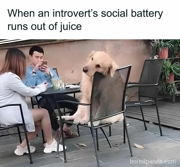 Dating-Around-As-Introvert-Memes