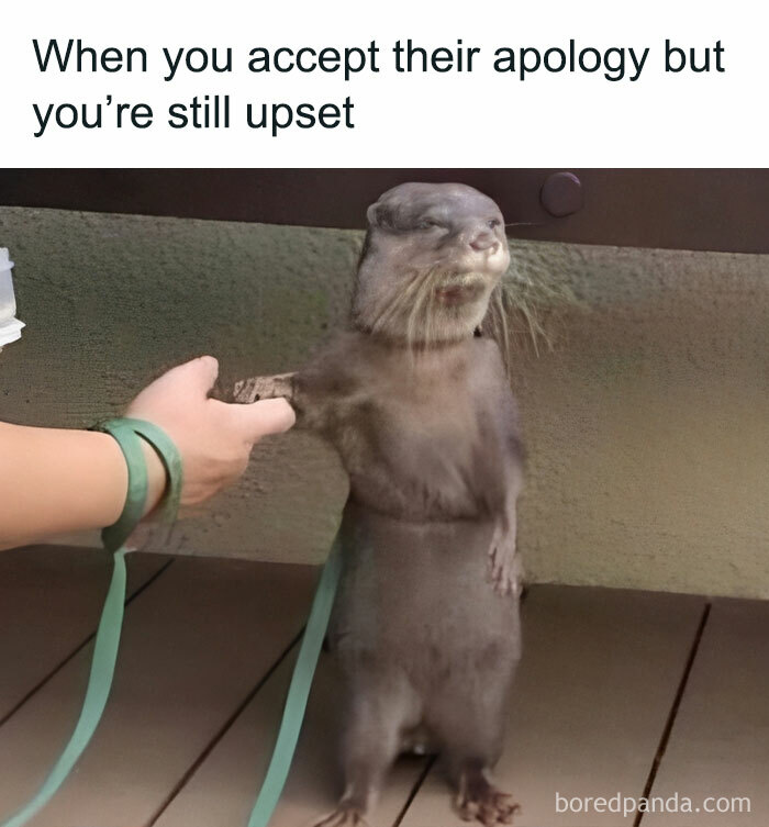 Dating-Around-As-Introvert-Memes