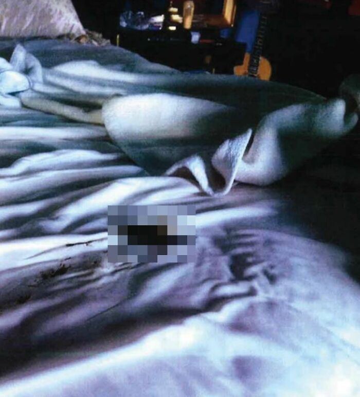 The "Amber Heard Revenge Poop"