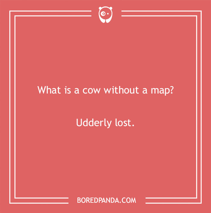 Jokes for teens about cow