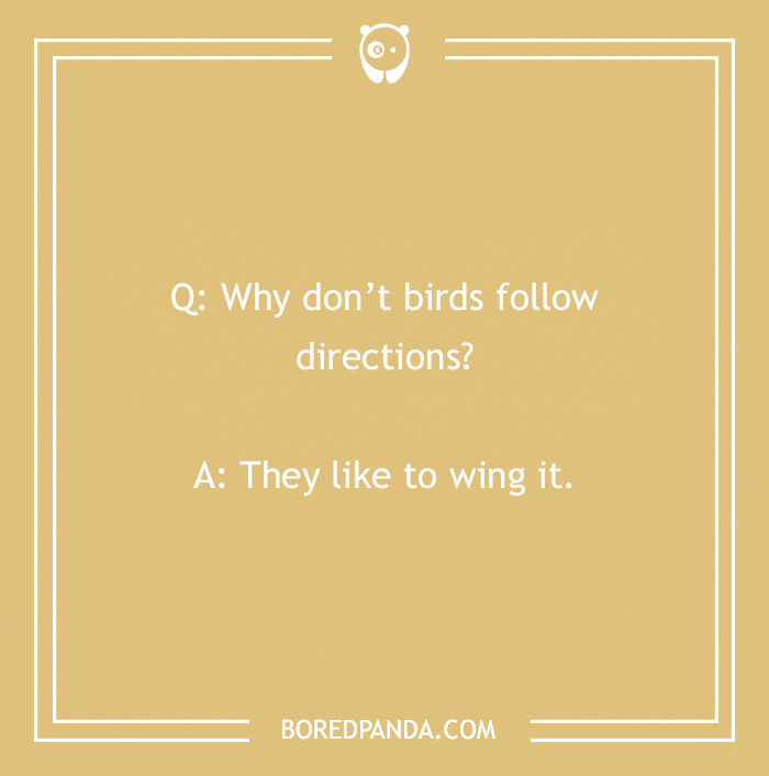 Text card with a Laffy Taffy joke: "Why don’t birds follow directions? They like to wing it."