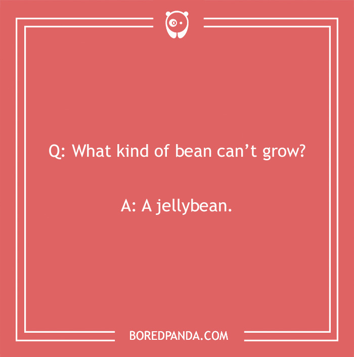 Laffy Taffy joke on red background: "What kind of bean can't grow? A jellybean."