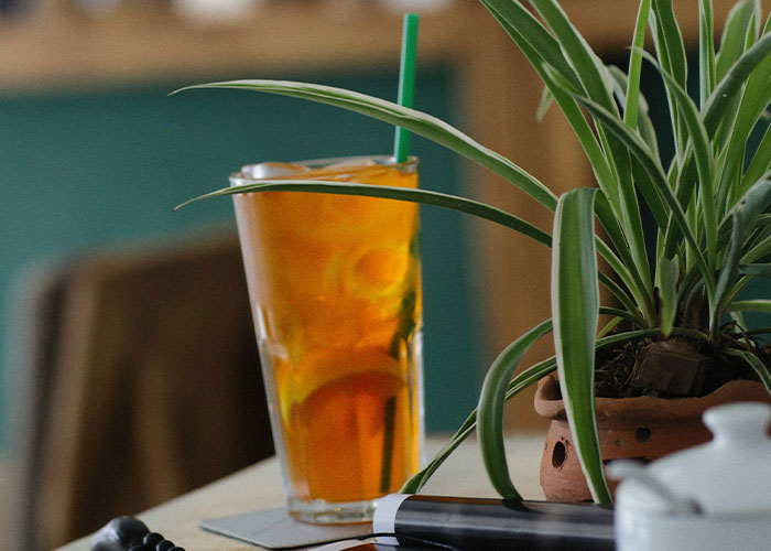 Glass of iced tea on table next to green plant, illustrating restaurant green flags that indicate a great dining spot.