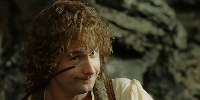 Pippin sitting on the stones