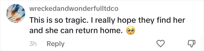 Woman Shares Anguish Over Delta Airlines Losing Her Beloved Pooch In Atlanta Airport