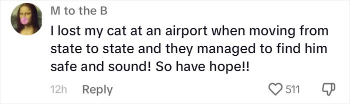 Woman Shares Anguish Over Delta Airlines Losing Her Beloved Pooch In Atlanta Airport