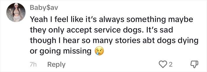 Woman Shares Anguish Over Delta Airlines Losing Her Beloved Pooch In Atlanta Airport