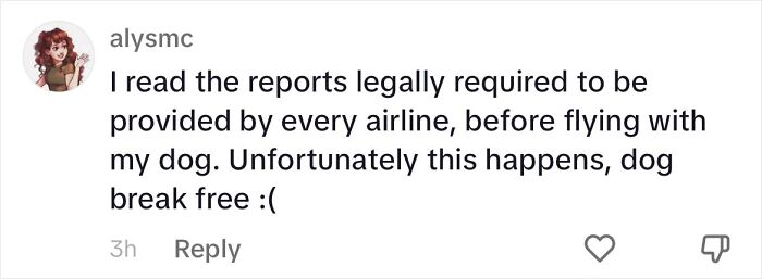 Woman Shares Anguish Over Delta Airlines Losing Her Beloved Pooch In Atlanta Airport