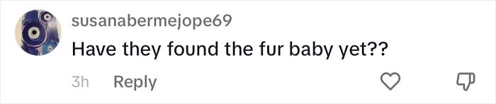 Woman Shares Anguish Over Delta Airlines Losing Her Beloved Pooch In Atlanta Airport