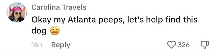 Woman Shares Anguish Over Delta Airlines Losing Her Beloved Pooch In Atlanta Airport