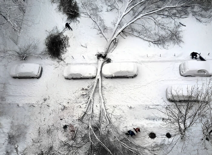 Ha nevado mucho y es increíble la suerte de estos dos coches