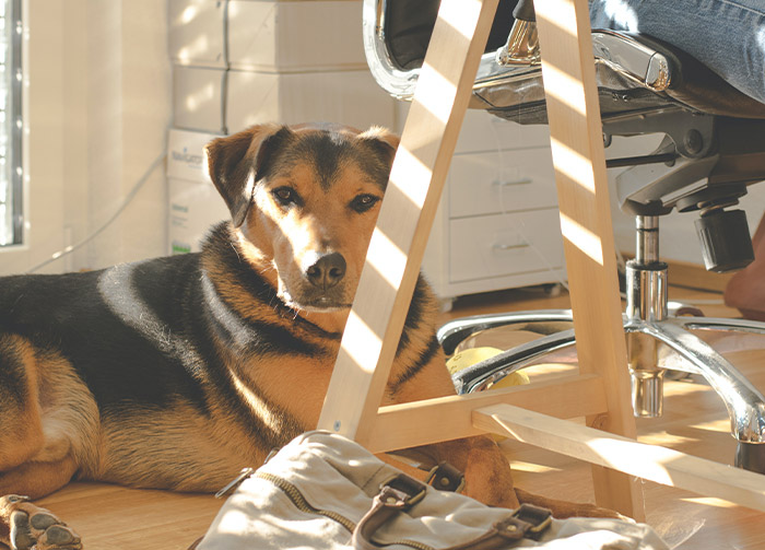 “It’s An Easy $500”: 30 People Reveal Side Hustles That Help Them Get By