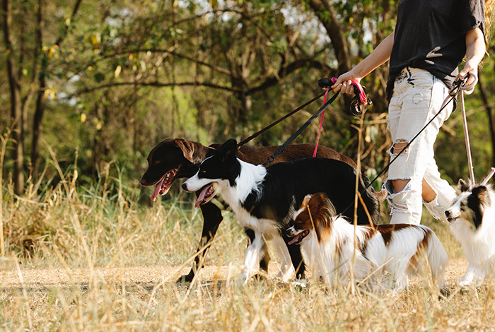 “It’s An Easy $500”: 30 People Reveal Side Hustles That Help Them Get By