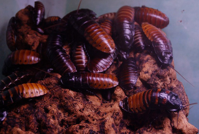 “It’s An Easy $500”: 30 People Reveal Side Hustles That Help Them Get By