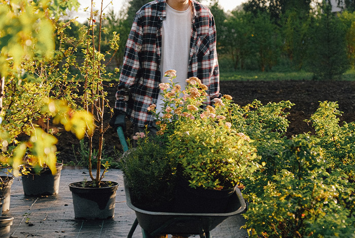 “It’s An Easy $500”: 30 People Reveal Side Hustles That Help Them Get By