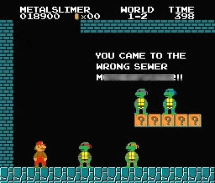 Mario meme featuring turtles with text: "You came to the wrong sewer."