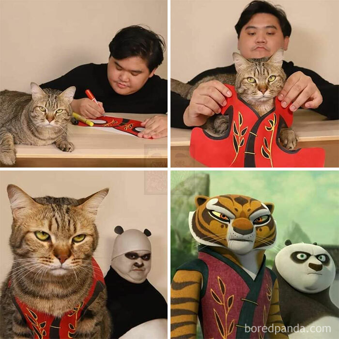 Cat Hat The Tigress Expression Down Pat