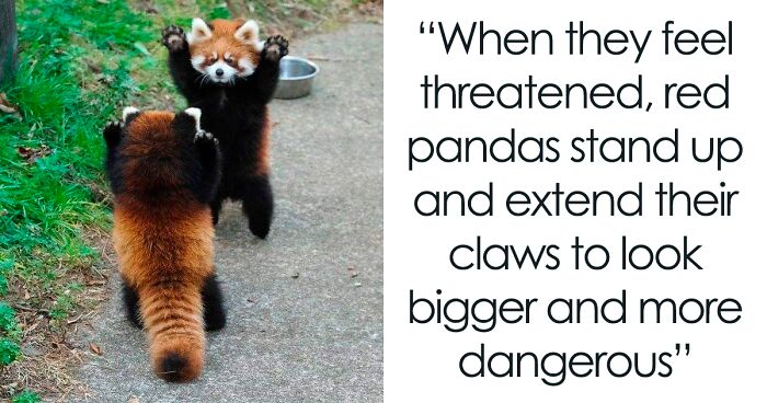 50 Mildly Amusing Things To Brighten Up Your Day, As Shared By This Group