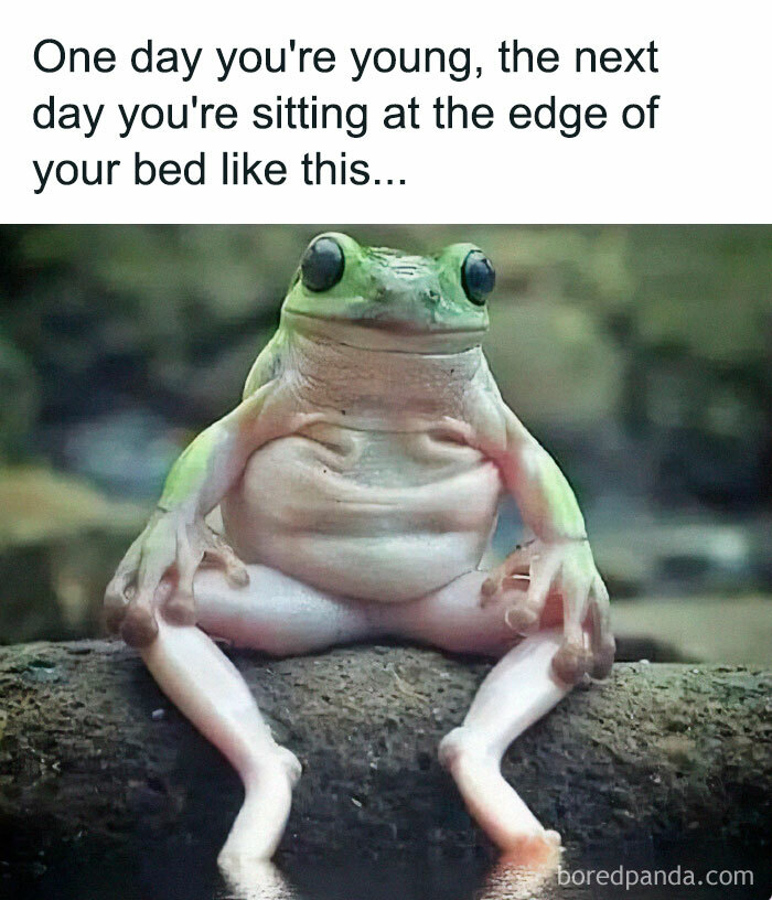 Millennial-Misery-Funny-Memes