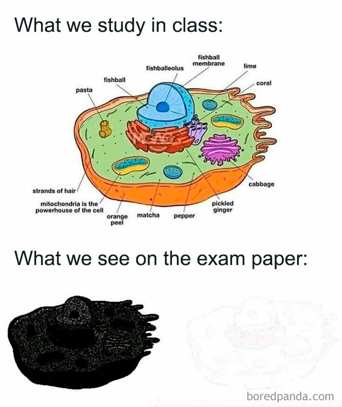 Millennial-Misery-Funny-Memes