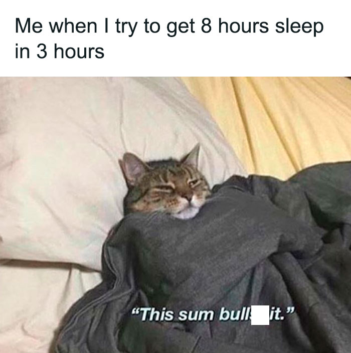 Funny cat meme wrapped in blankets, captioned with a humorous message about sleep struggles.