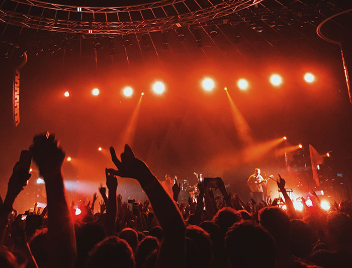 Concert crowd dancing and enjoying amazing music facts in a lively setting with warm orange stage lighting.