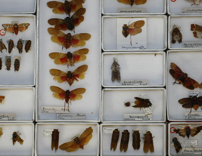 30 Adults Share The Worst Things Their Teachers Did That They Still Can’t Get Over