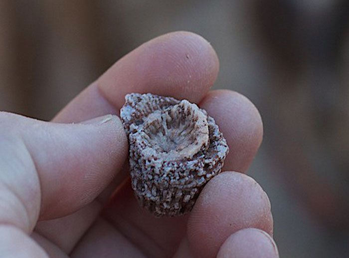 30 Adults Share The Worst Things Their Teachers Did That They Still Can’t Get Over