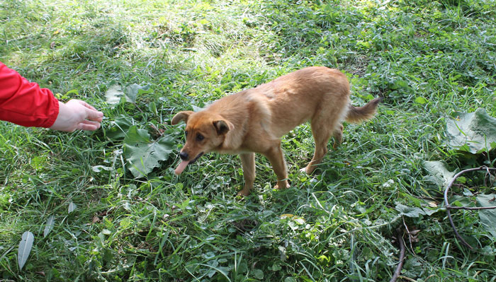“Neighbor Doesn’t Like Me Using My Own Garden”