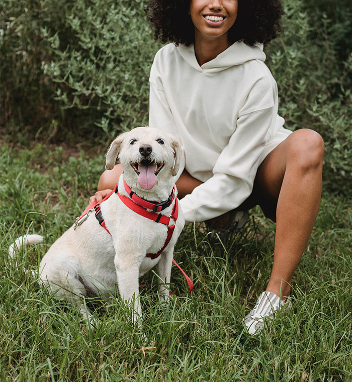 Person Doesn&rsquo;t Want Neighbor Sitting In Their Garden, The Internet Has Thoughts