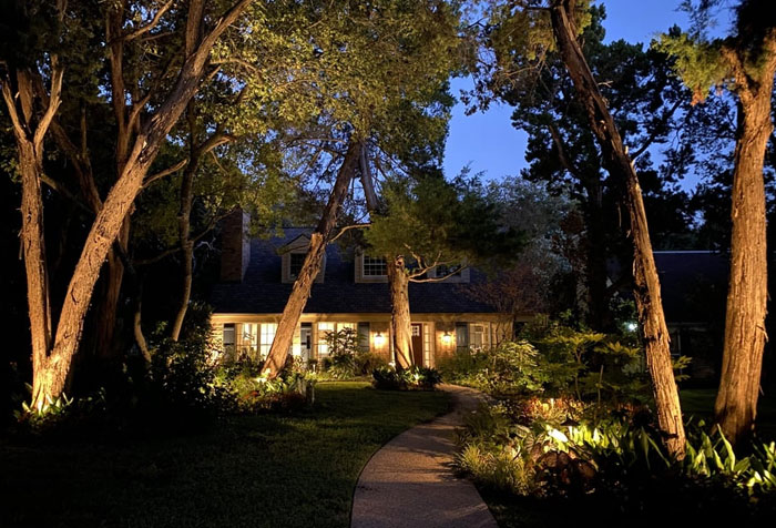 House with lights and nature with trees at night House with lights and nature with trees at night