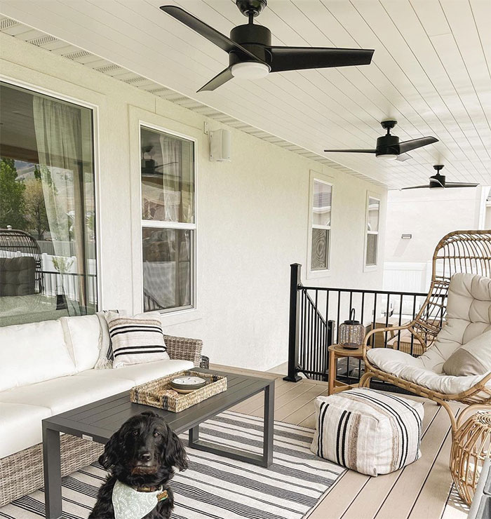 Porch with white furniture stripped rug black fans and black dog Porch with white furniture stripped rug black fans and black dog