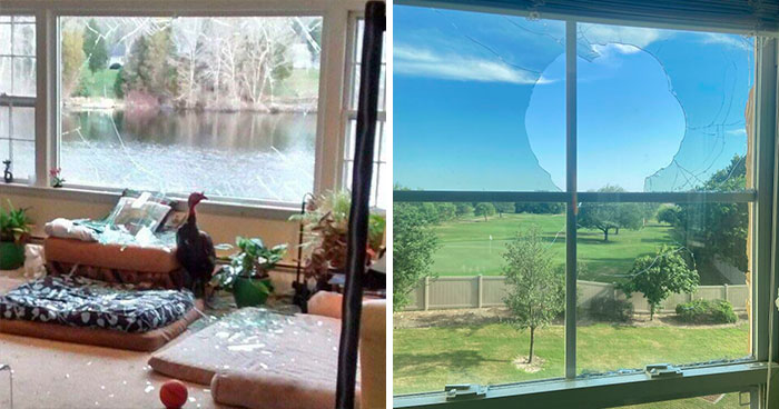 25 Personas que compraron la casa de sus sueños y se arrepintieron enseguida