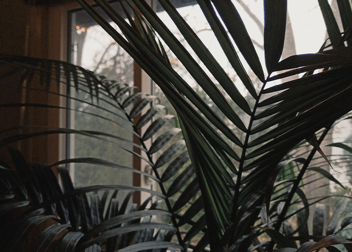 "She Poisoned My Food": 30 People Share Their Roommate From Hell Stories