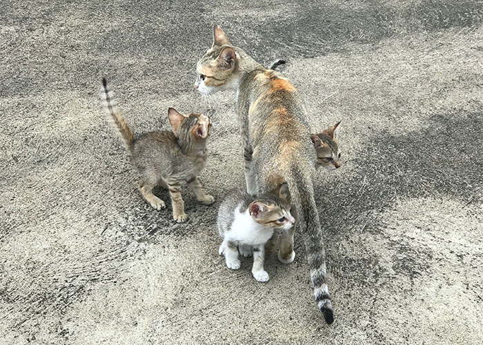 "She Poisoned My Food": 30 People Share Their Roommate From Hell Stories