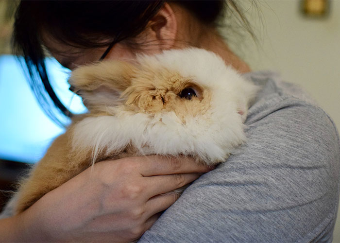 "She Poisoned My Food": 30 People Share Their Roommate From Hell Stories