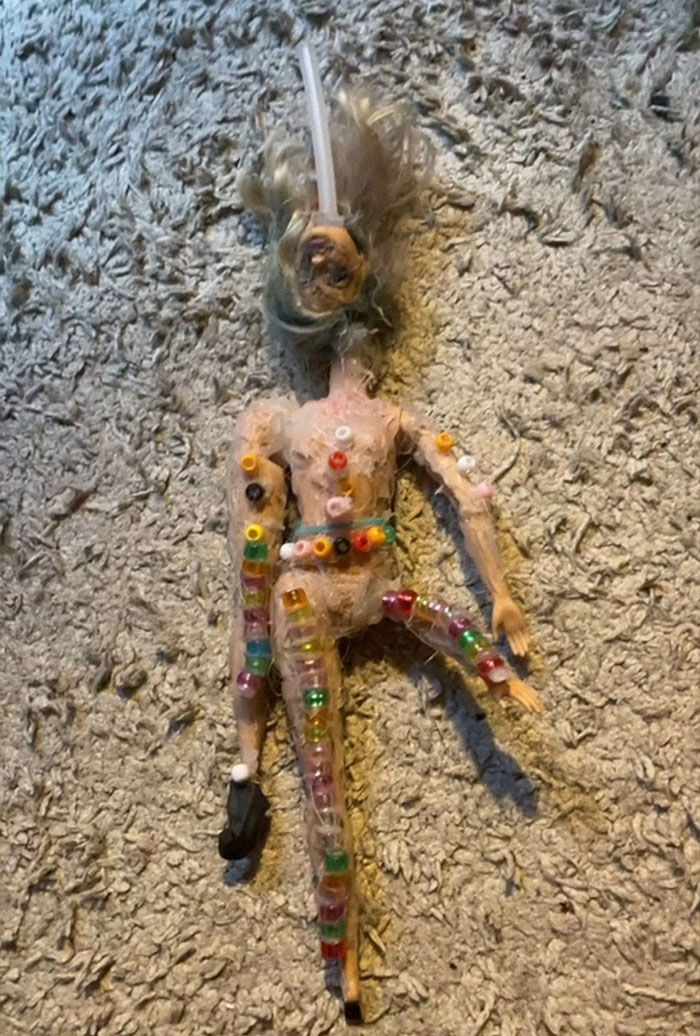 People-Showing-Their-Weird-Barbies-Tiktok