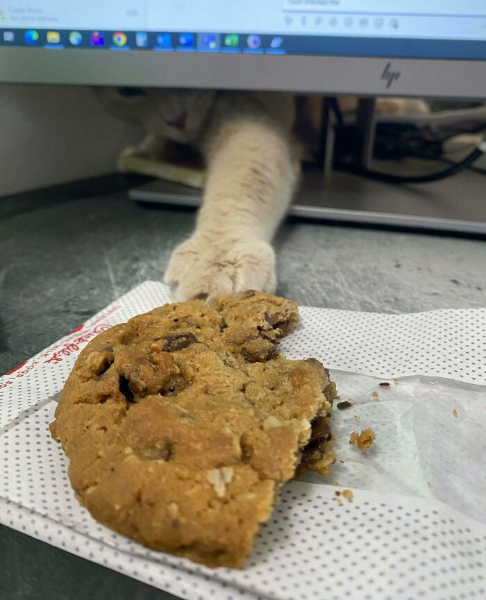 Cookie Thief