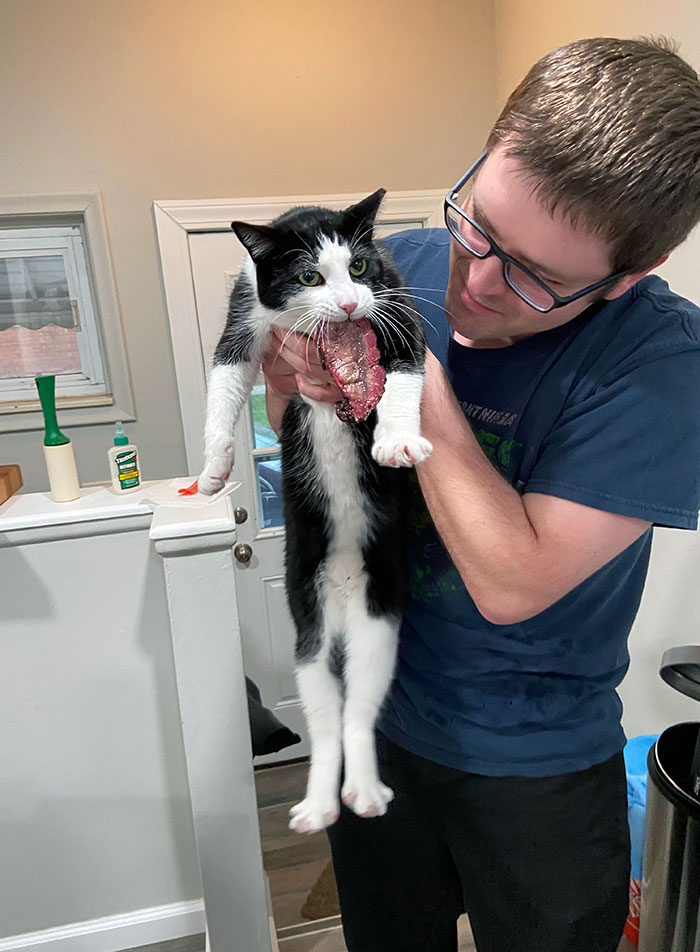 Le pillé robando un poco de ternera que tenía para hacer tacos