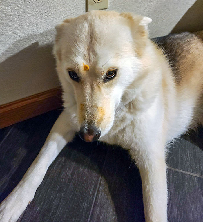 Don't Leave Your Spaghetti Unattended