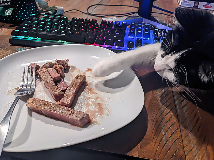 I Can't Eat In Peace