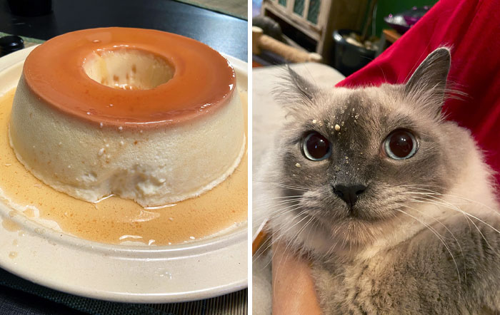 La obra de arte y el artista