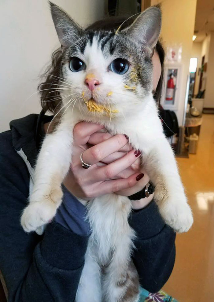 Sinceramente, no tengo ni idea de dónde está todo ese queso