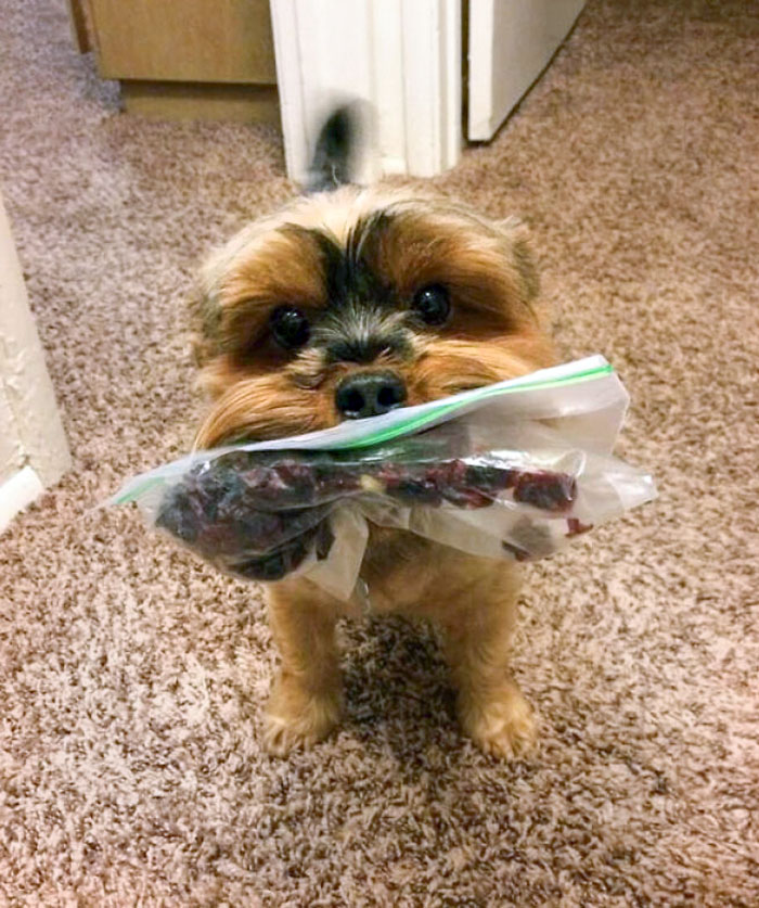 Someone Dug My Snacks Out Of My Work Bag. This Was The Second Time. The First Time, It Was Torn And Empty