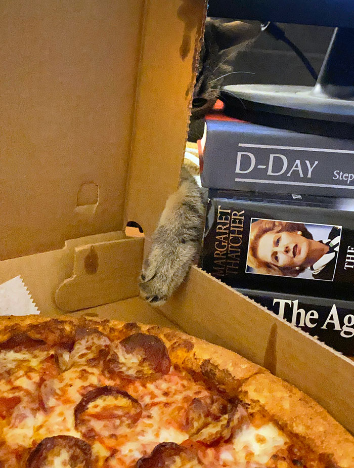 Solo quiero probarla