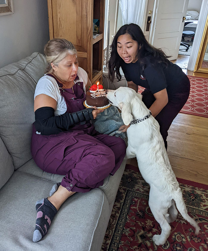 Mi cachorro decidió que él también quería un trozo de la tarta de cumpleaños de mi madre