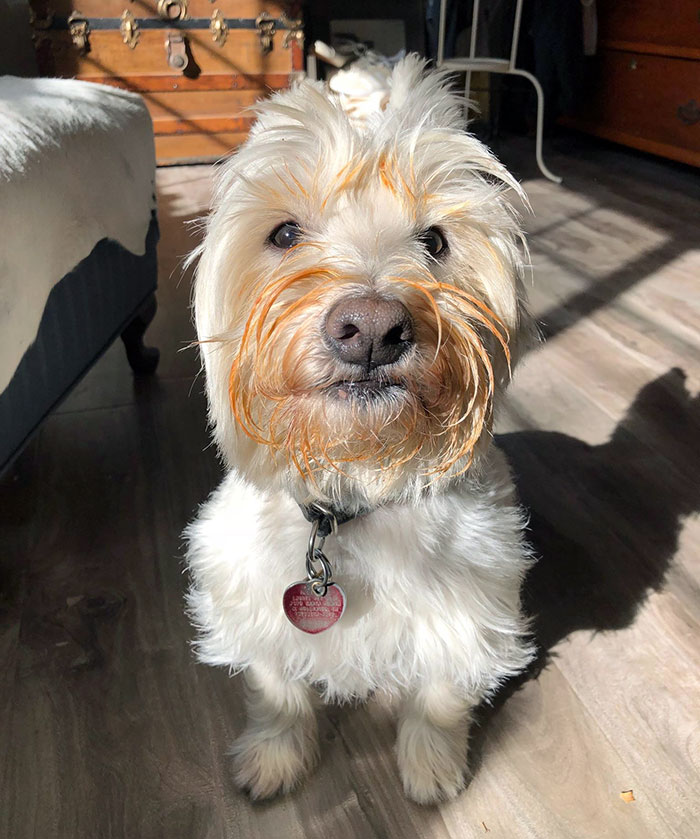 Meet Harold, The Reason We Now Close Jars Of Pasta Sauce When We Recycle Them